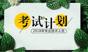 2018年度專業(yè)技術(shù)人員資格考試計劃